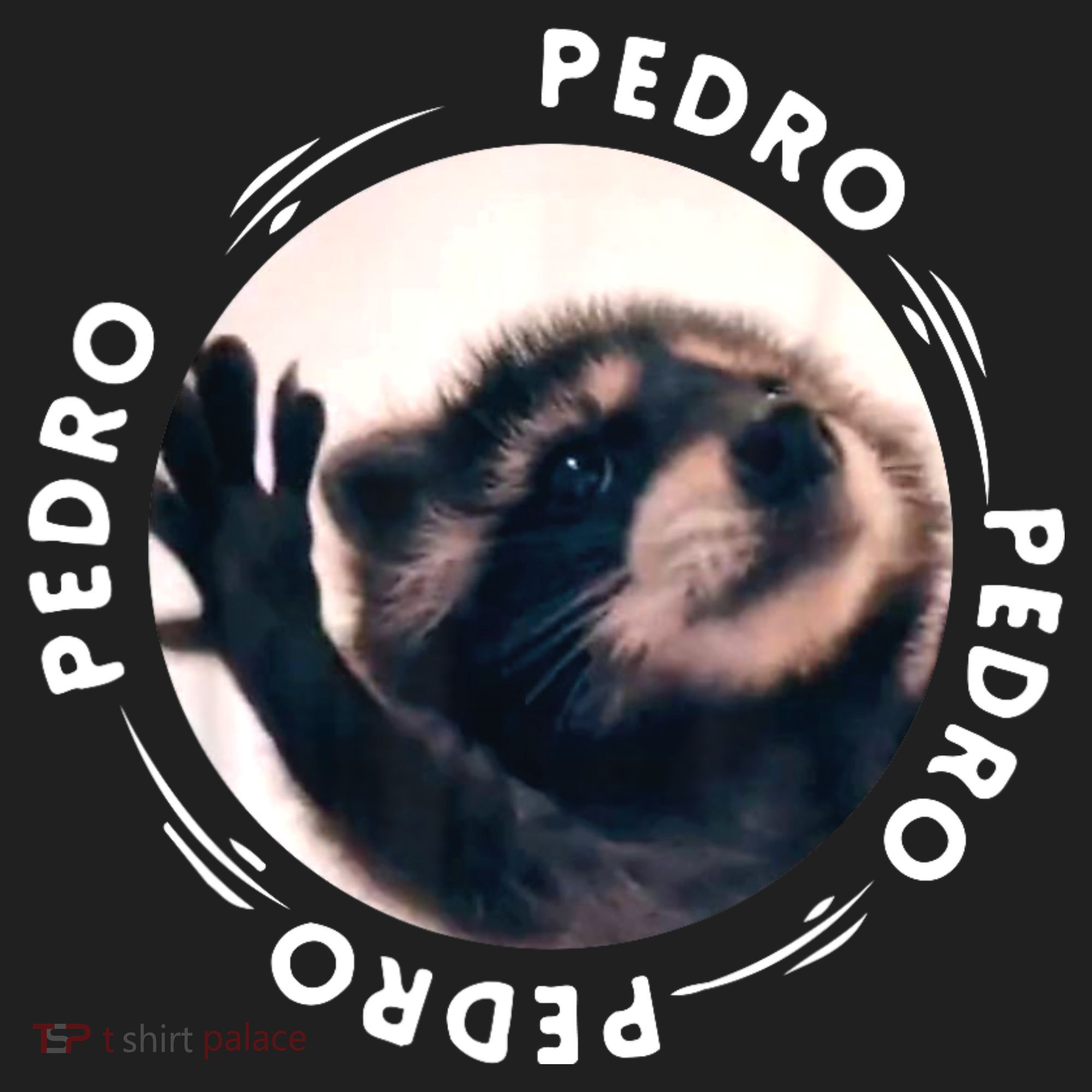 Pedro Dancing Raccoon Pedro Pedro Dancing Raccoon Meme Beanie
