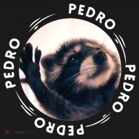 Pedro Dancing Raccoon Pedro Pedro Dancing Raccoon Meme Women's Hoodie thumb 2