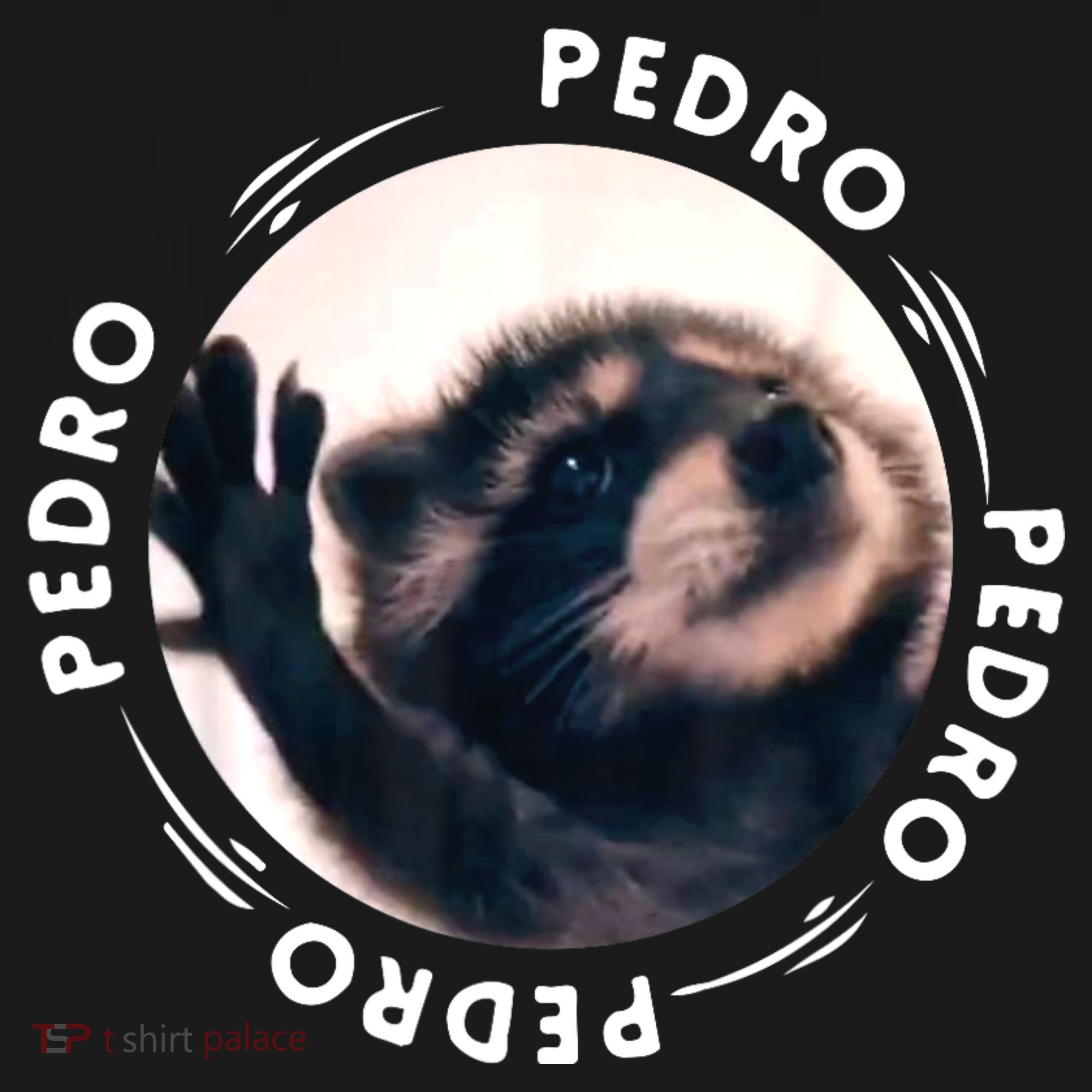 Pedro Dancing Raccoon Pedro Pedro Dancing Raccoon Meme Women's Tank Top