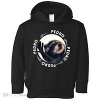 Pedro Dancing Raccoon Pedro Pedro Dancing Raccoon Meme Toddler Hoodie thumb 0