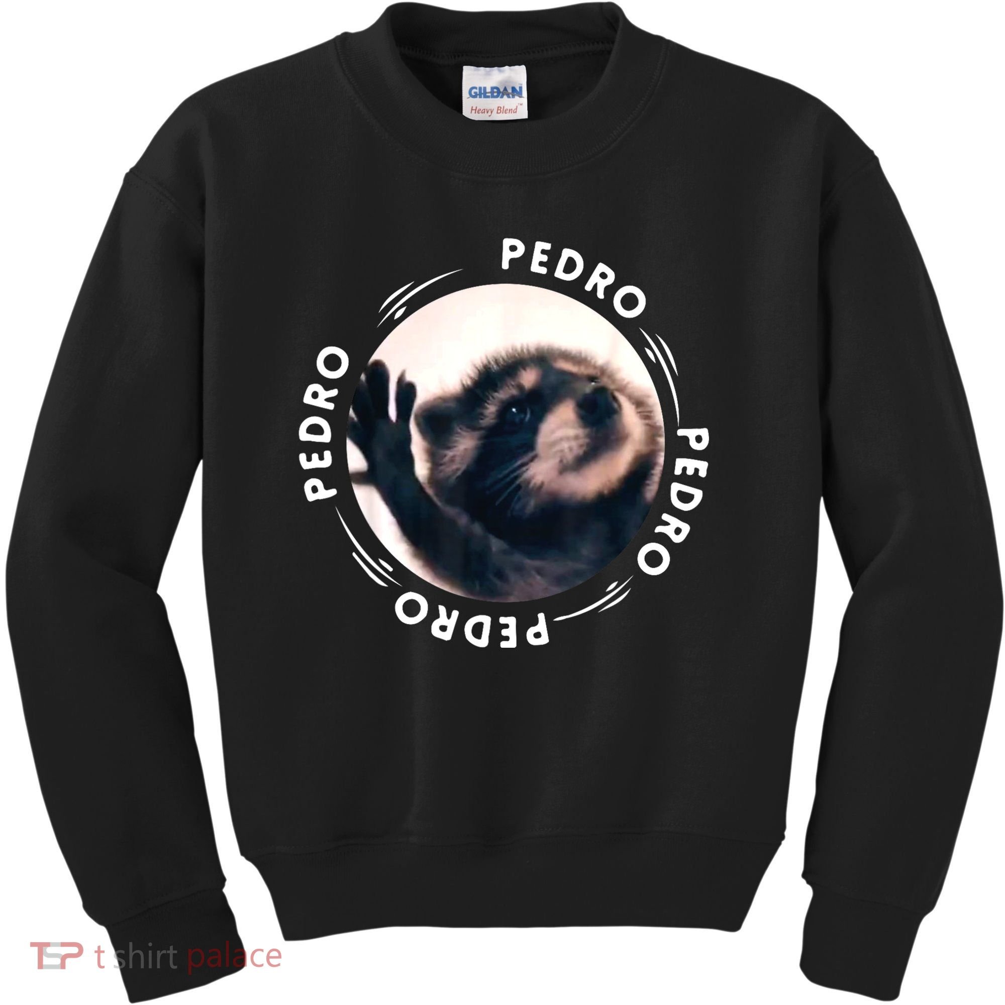 Pedro Dancing Raccoon Pedro Pedro Dancing Raccoon Meme Kids Sweatshirt