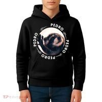 Pedro Dancing Raccoon Pedro Pedro Dancing Raccoon Meme Kids Hoodie thumb 4