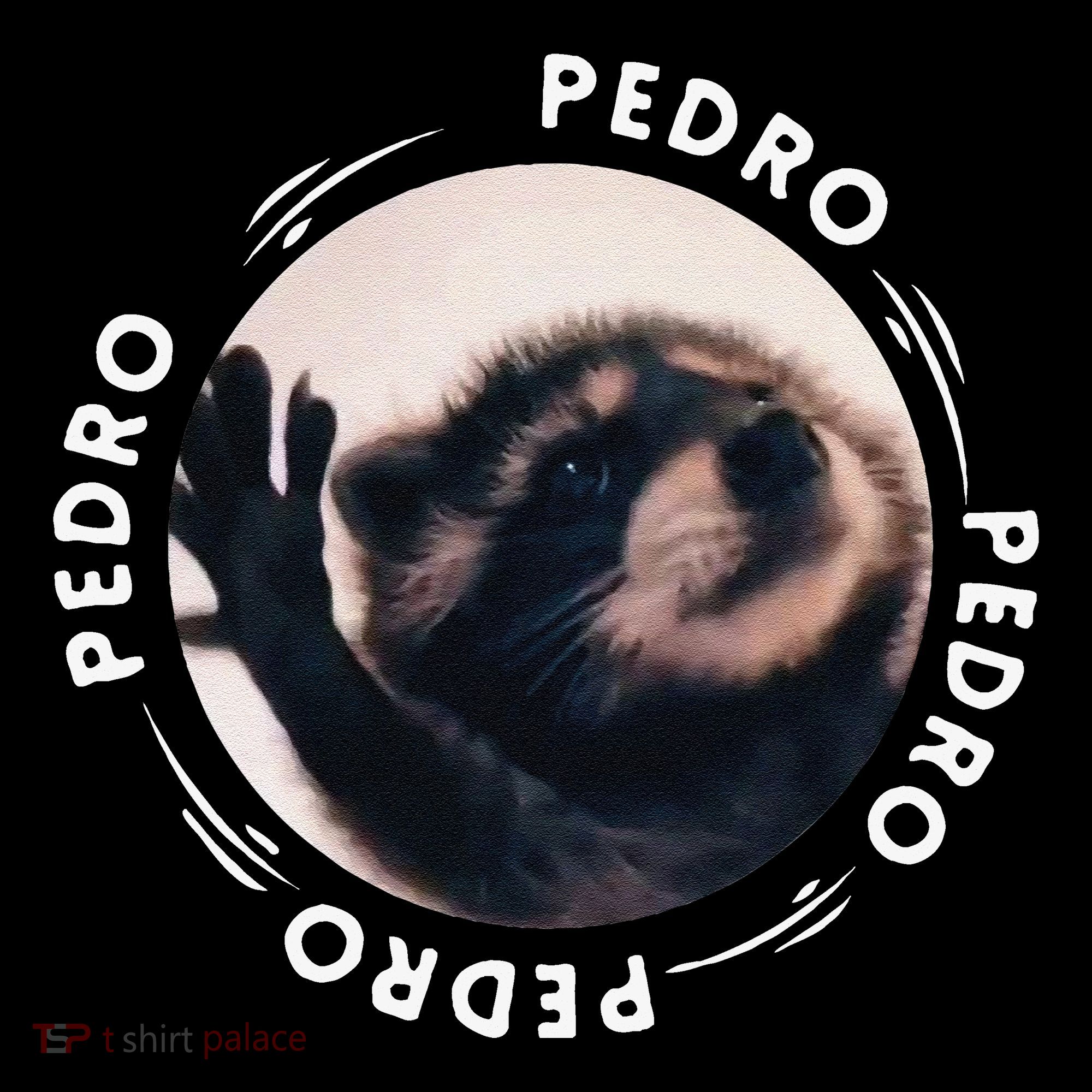 Pedro Dancing Raccoon Pedro Pedro Dancing Raccoon Meme Funny Coffee Mug