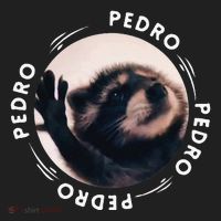 Pedro Dancing Raccoon Pedro Pedro Dancing Raccoon Meme Funny Tumbler thumb 3