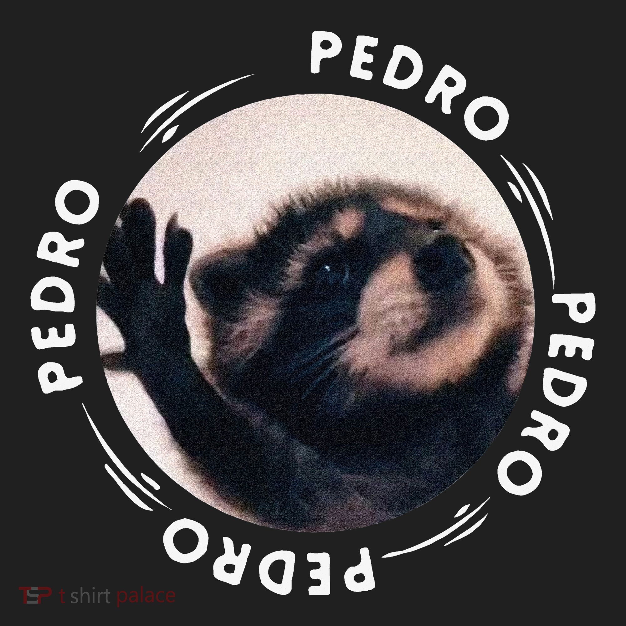 Pedro Dancing Raccoon Pedro Pedro Dancing Raccoon Meme Funny Tumbler
