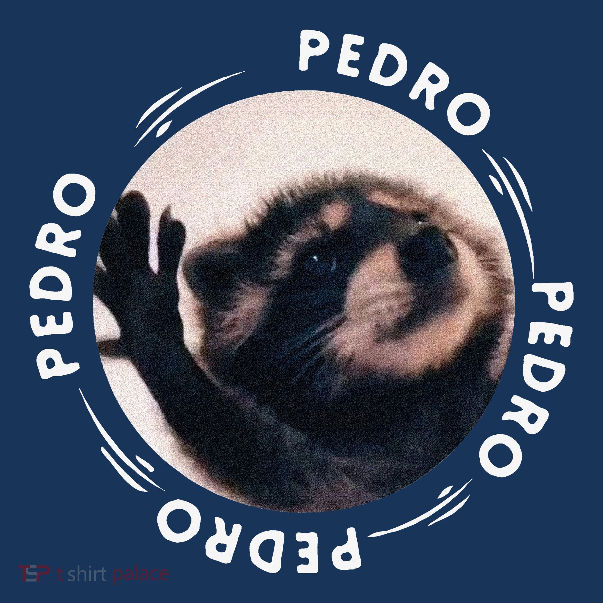 Pedro Dancing Raccoon Pedro Pedro Dancing Raccoon Meme Funny Apron
