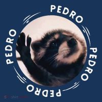 Pedro Dancing Raccoon Pedro Pedro Dancing Raccoon Meme Funny Women's Hoodie thumb 2