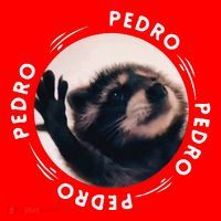 Pedro Dancing Raccoon Pedro Pedro Dancing Raccoon Meme Funny Santa Hat thumb 1
