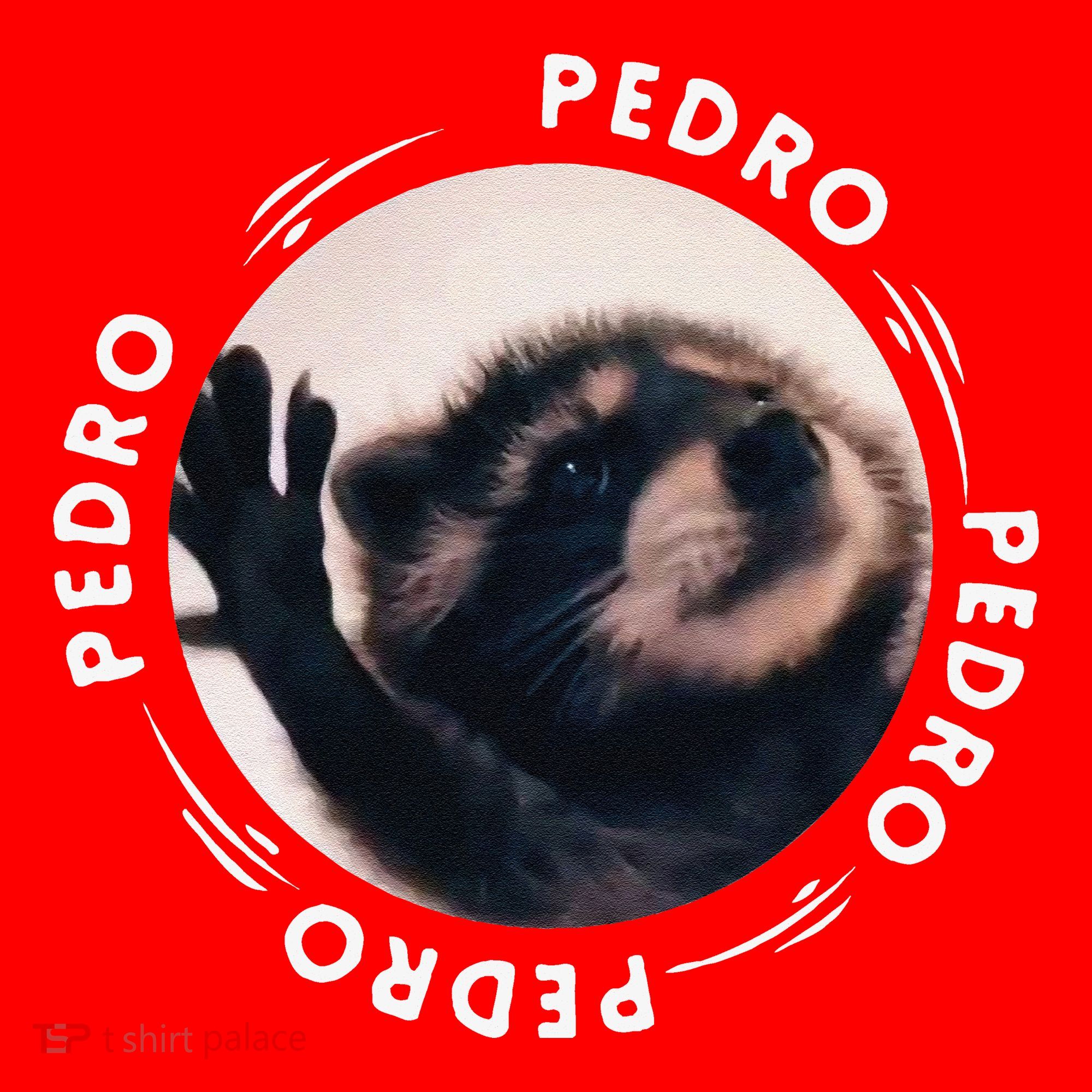 Pedro Dancing Raccoon Pedro Pedro Dancing Raccoon Meme Funny Santa Hat