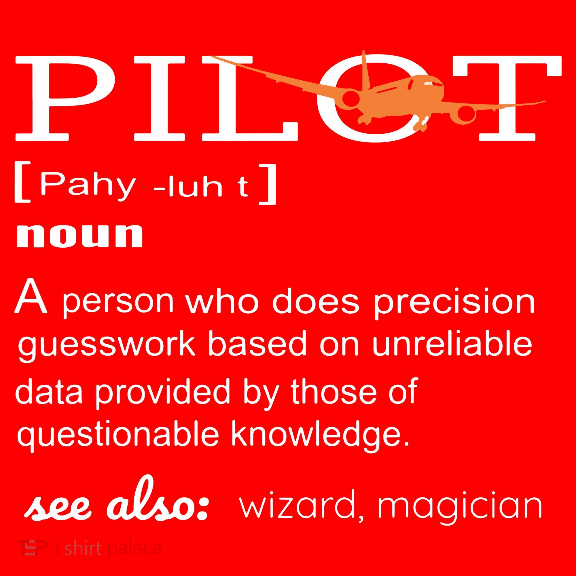 Pilot Definition Shirts Who Lover Funny Airplane Aircraft Santa Hat