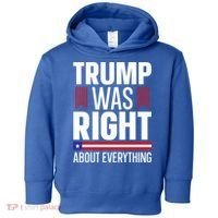 Pro Donald Trump Gift Trump Was Right About Everything Meaningful Gift Toddler Hoodie thumb 0