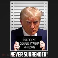 President Donald Trump Mugshot Never Surrender Ornament thumb 1