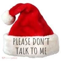 Please Don't Talk To Me Cool Gift Santa Hat thumb 0