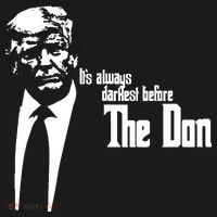 President Donald Trump The Don Funny Political 2024 Women's Hoodie thumb 2