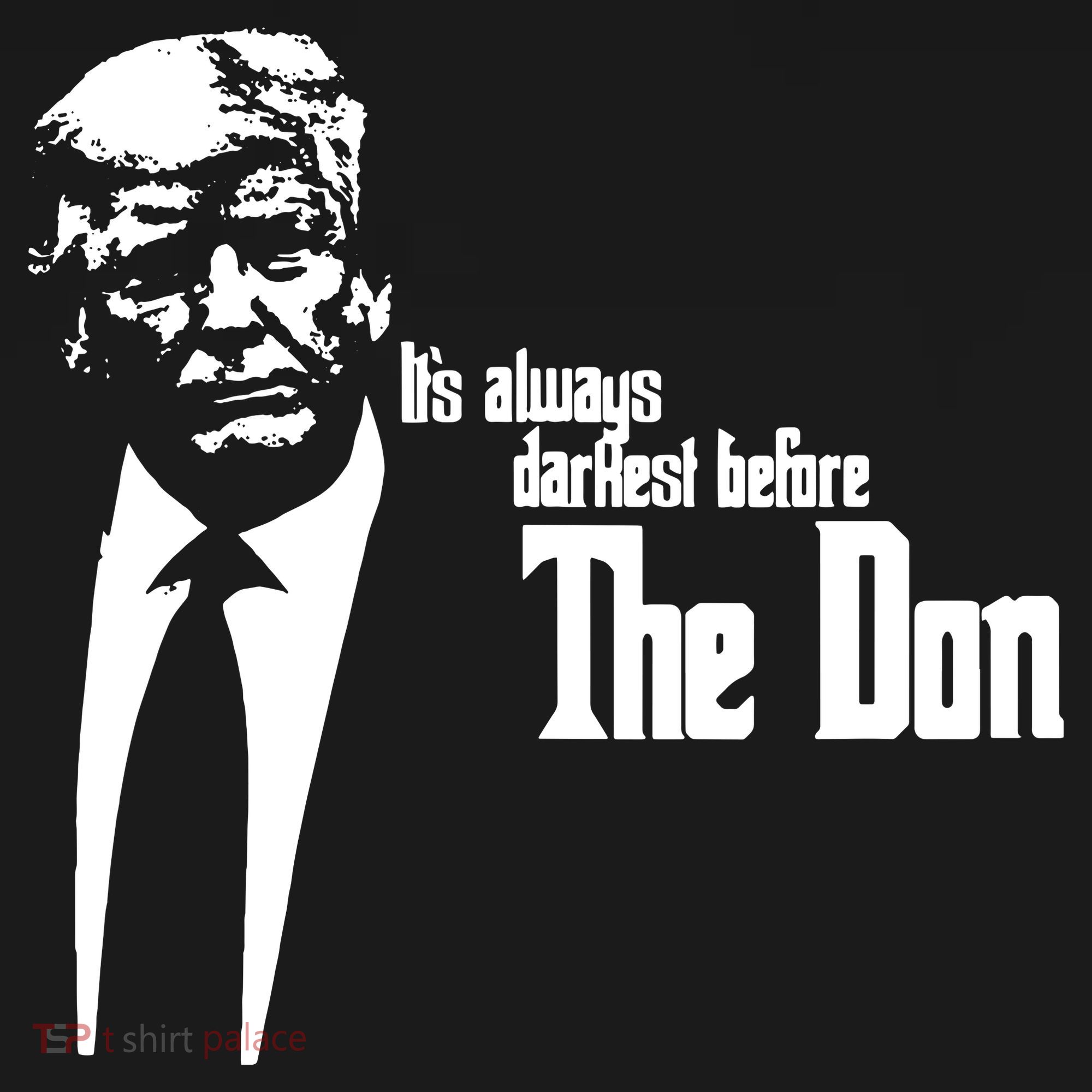 President Donald Trump The Don Funny Political 2024 Women's Hoodie