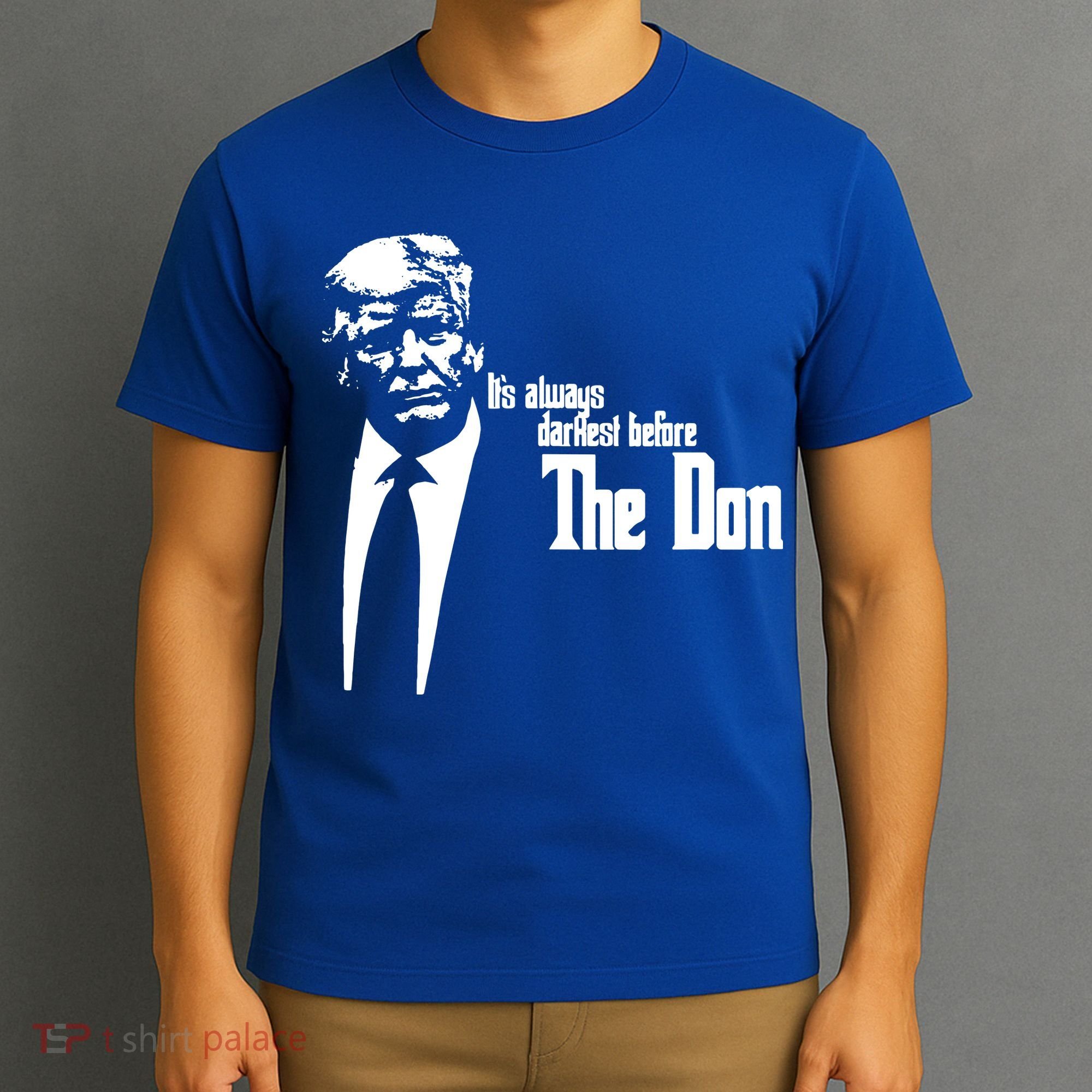 President Donald Trump The Don Funny Political 2024 T-Shirt