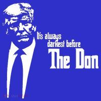 President Donald Trump The Don Funny Political 2024 T-Shirt thumb 7