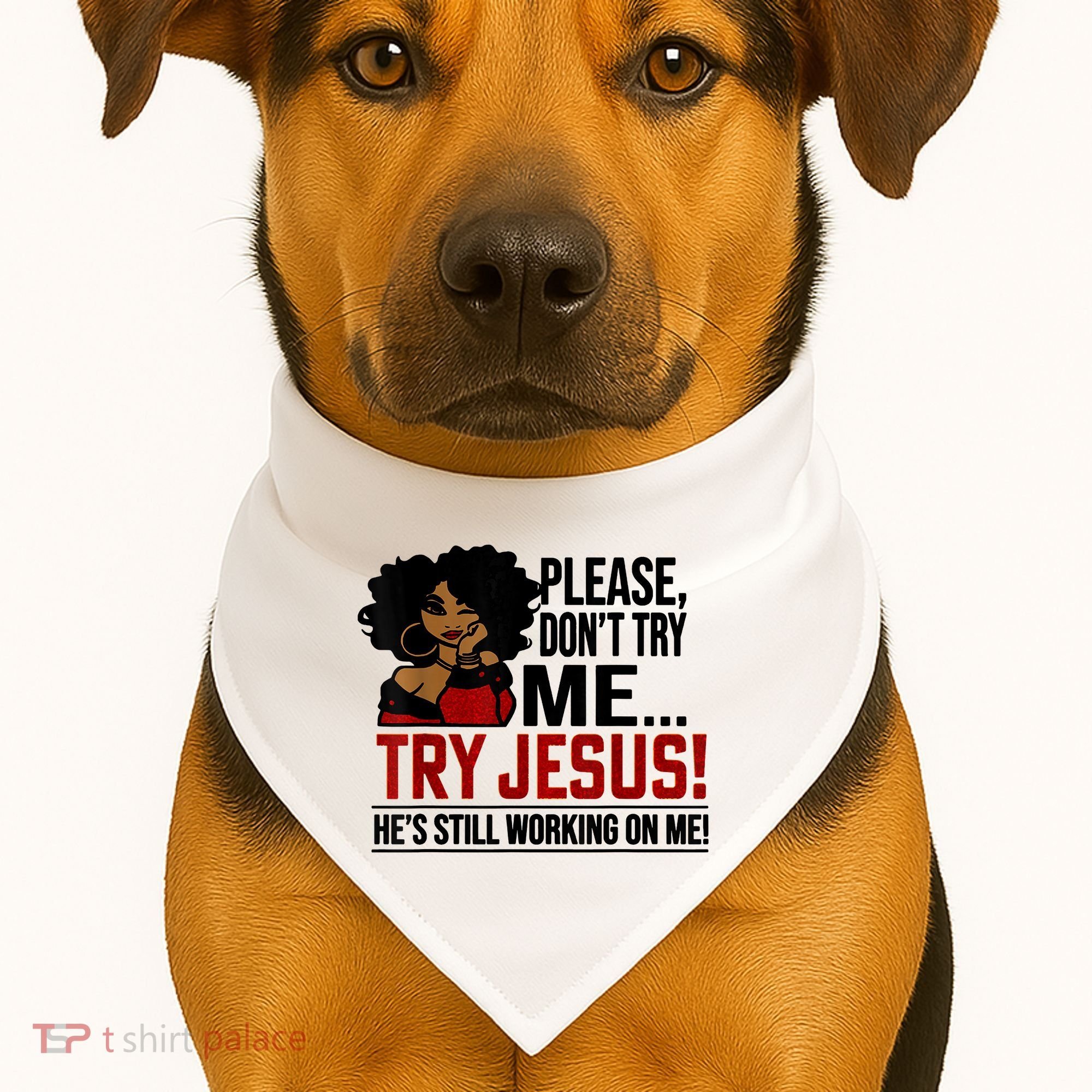 Please Don't Try Me Try Jesus He's Still Working On Me Funny USA-Made Doggie Bandana