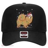 Pomeranian Dog Xmas Lighting Santa Pomeranian Christmas Gift Hat thumb 0