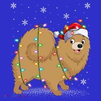 Pomeranian Dog Xmas Lighting Santa Pomeranian Christmas Gift T-Shirt thumb 7