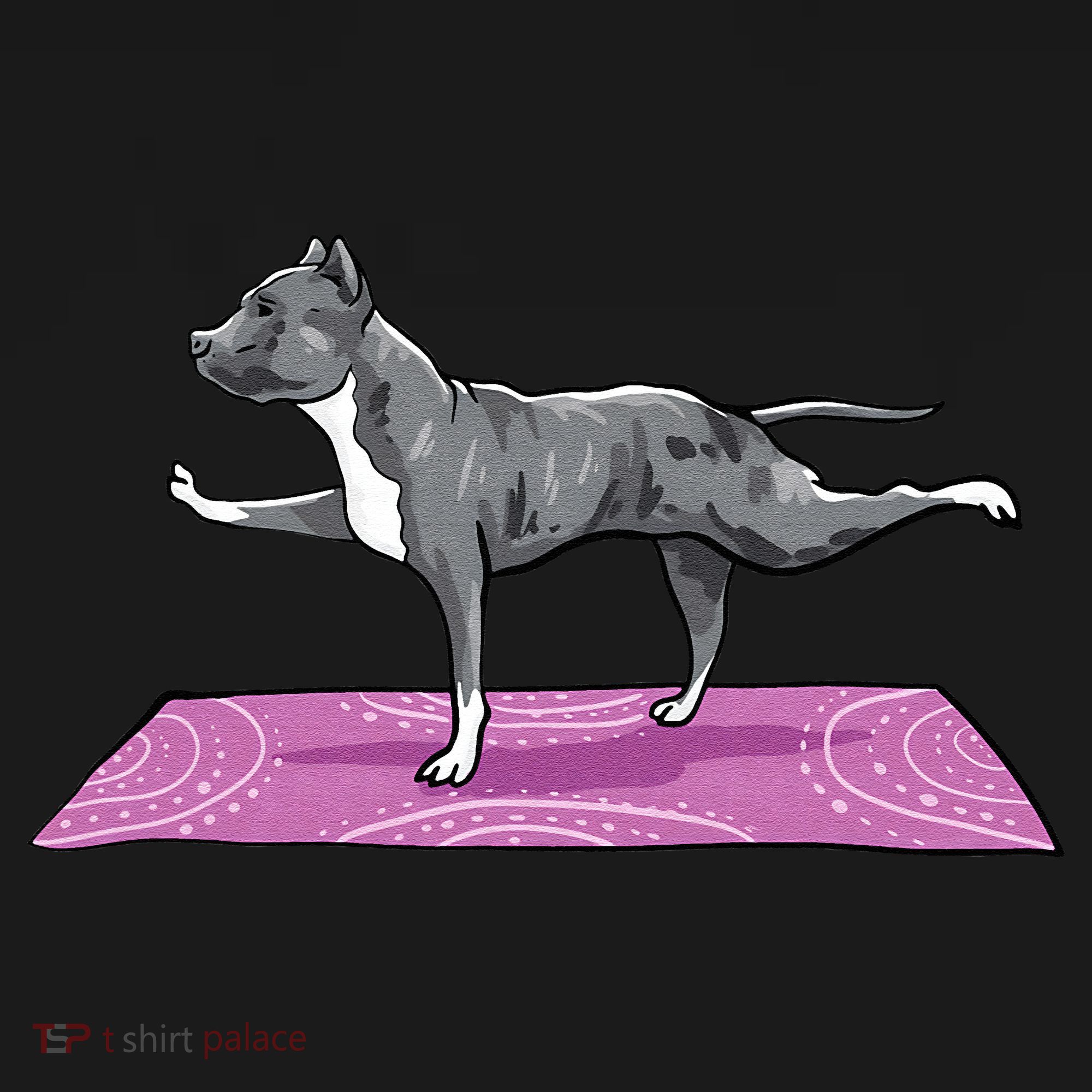 Pitbull Doing Yoga Funny Pitbull Dog Lover Yogi Teacher Women's Hoodie