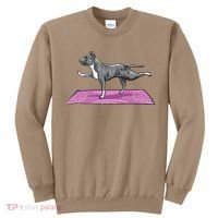 Pitbull Doing Yoga Funny Pitbull Dog Lover Yogi Teacher Sweatshirt thumb 0