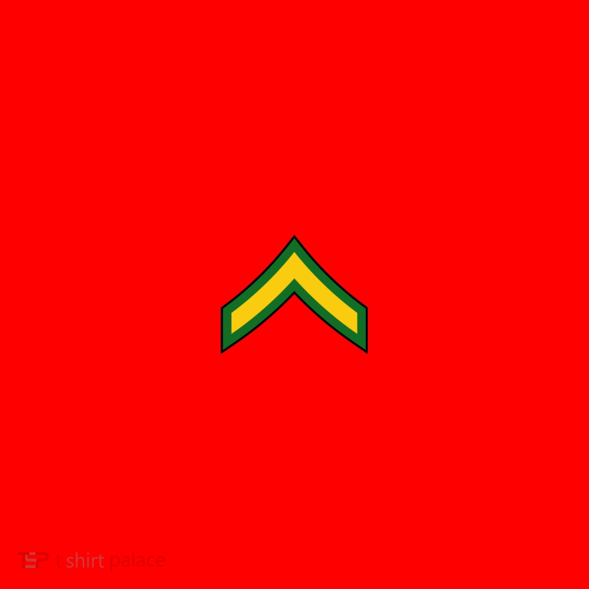 Private E 2 Mlitary Badge Santa Hat