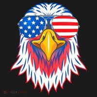 Patriotic Eagle 4th Of July Usa American Flag Pride Toddler Hoodie thumb 2