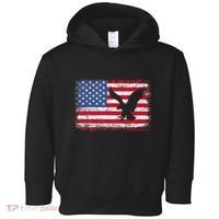 Patriotic Eagle 4th Of July Usa American Flag Toddler Hoodie thumb 0