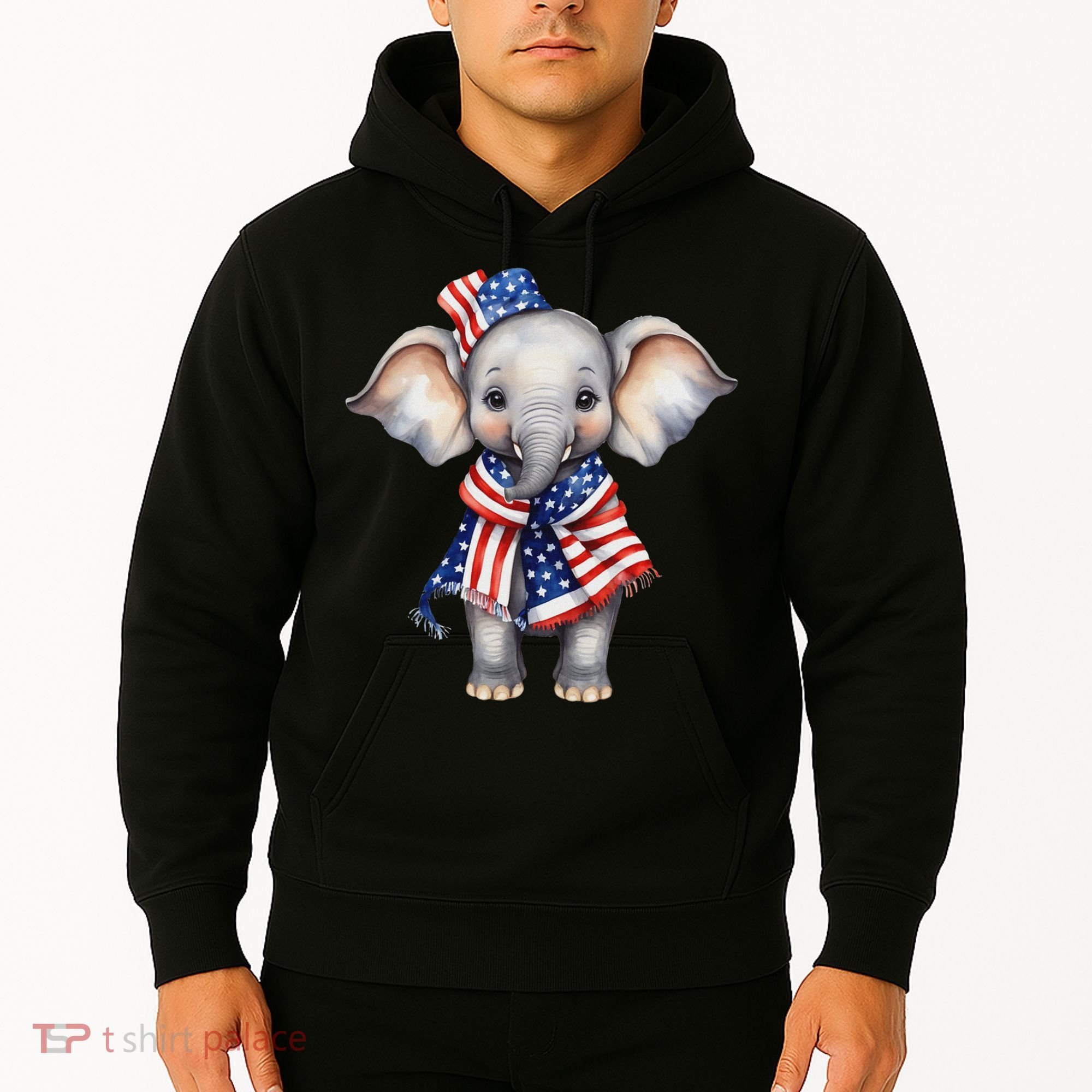 Patriotic Elephant 4th Of July Us Flag Hoodie