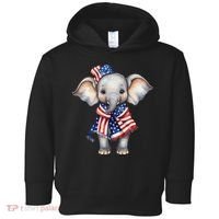 Patriotic Elephant 4th Of July Us Flag Toddler Hoodie thumb 0