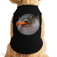 Pufferfish Eating A Carrot Meme Funny Blowfish Dank Memes Gift Doggie Tank thumb 0