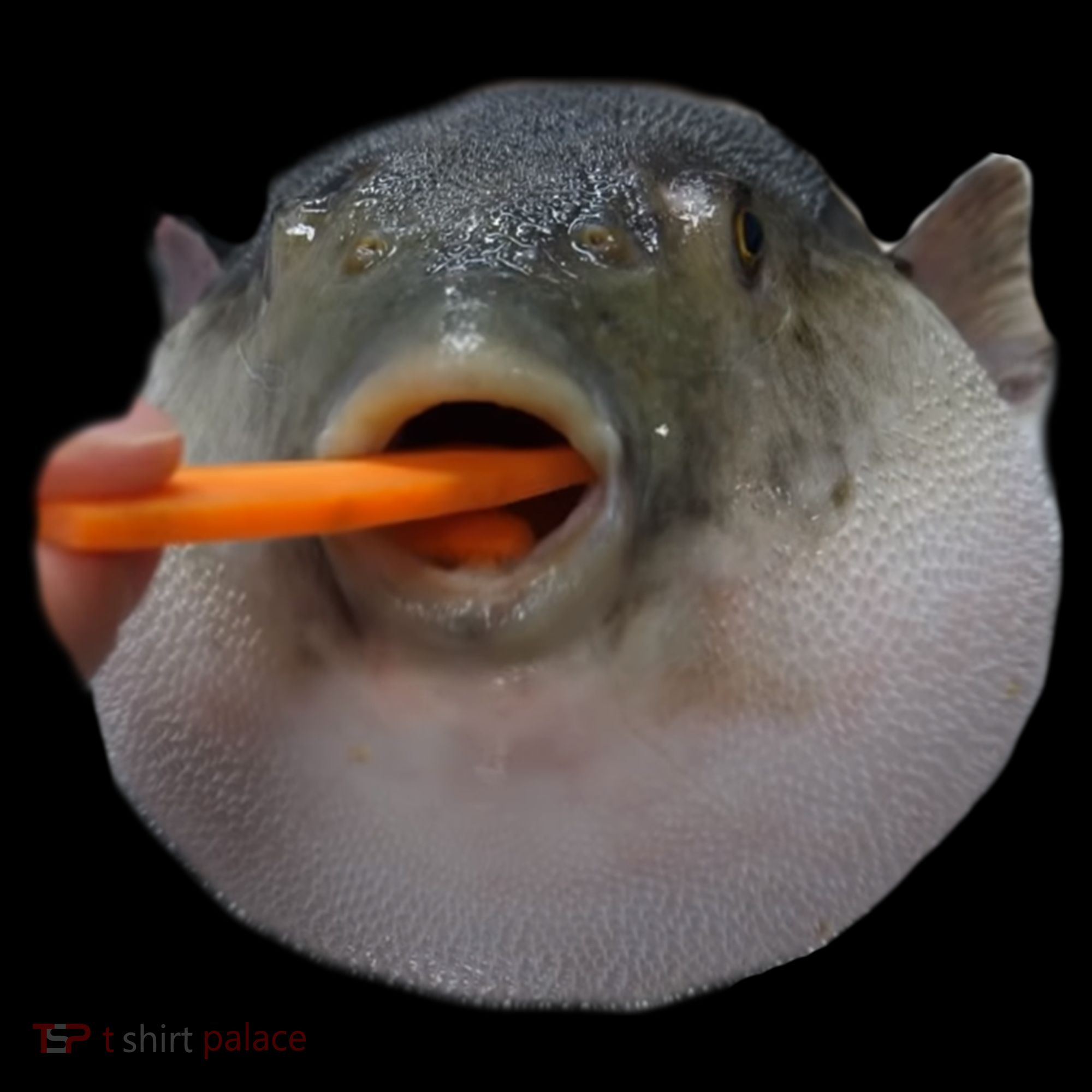 Pufferfish Eating A Carrot Meme Funny Blowfish Dank Memes Gift Women's Hoodie