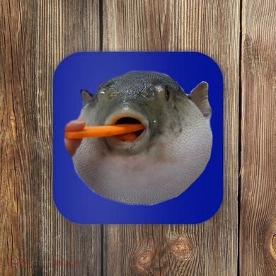 Pufferfish Eating A Carrot Meme Funny Blowfish Dank Memes Gift Coaster