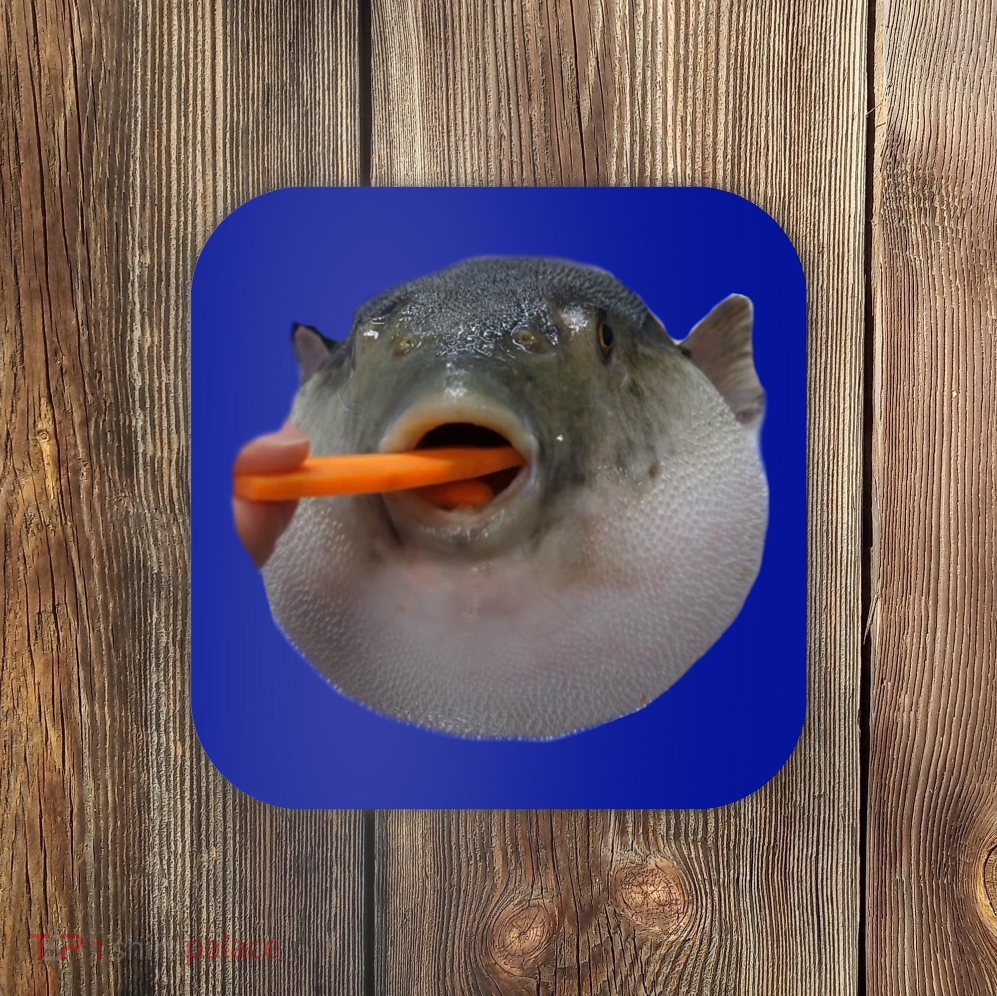 Pufferfish Eating A Carrot Meme Funny Blowfish Dank Memes Gift Coaster