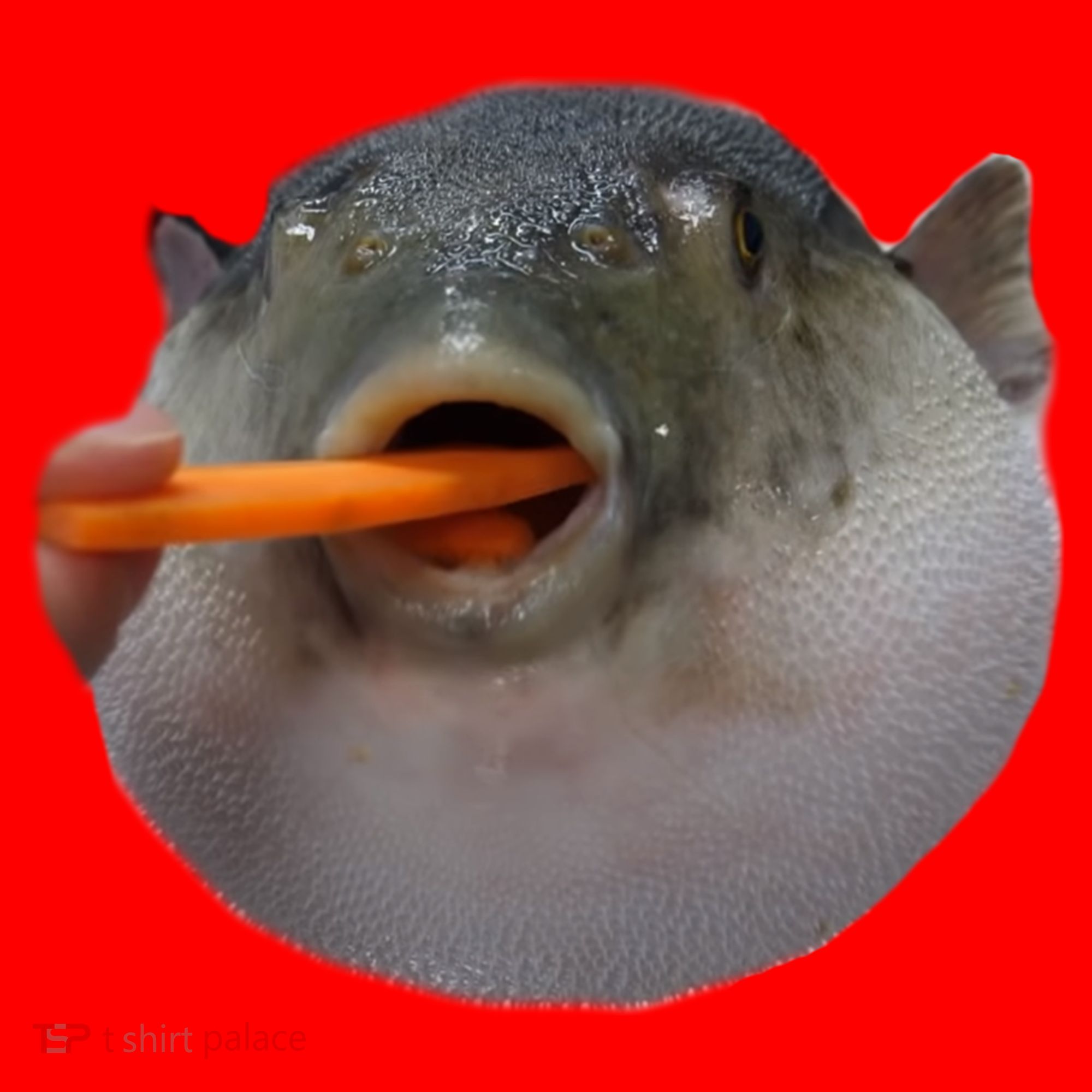 Pufferfish Eating A Carrot Meme Funny Blowfish Dank Memes Gift Santa Hat