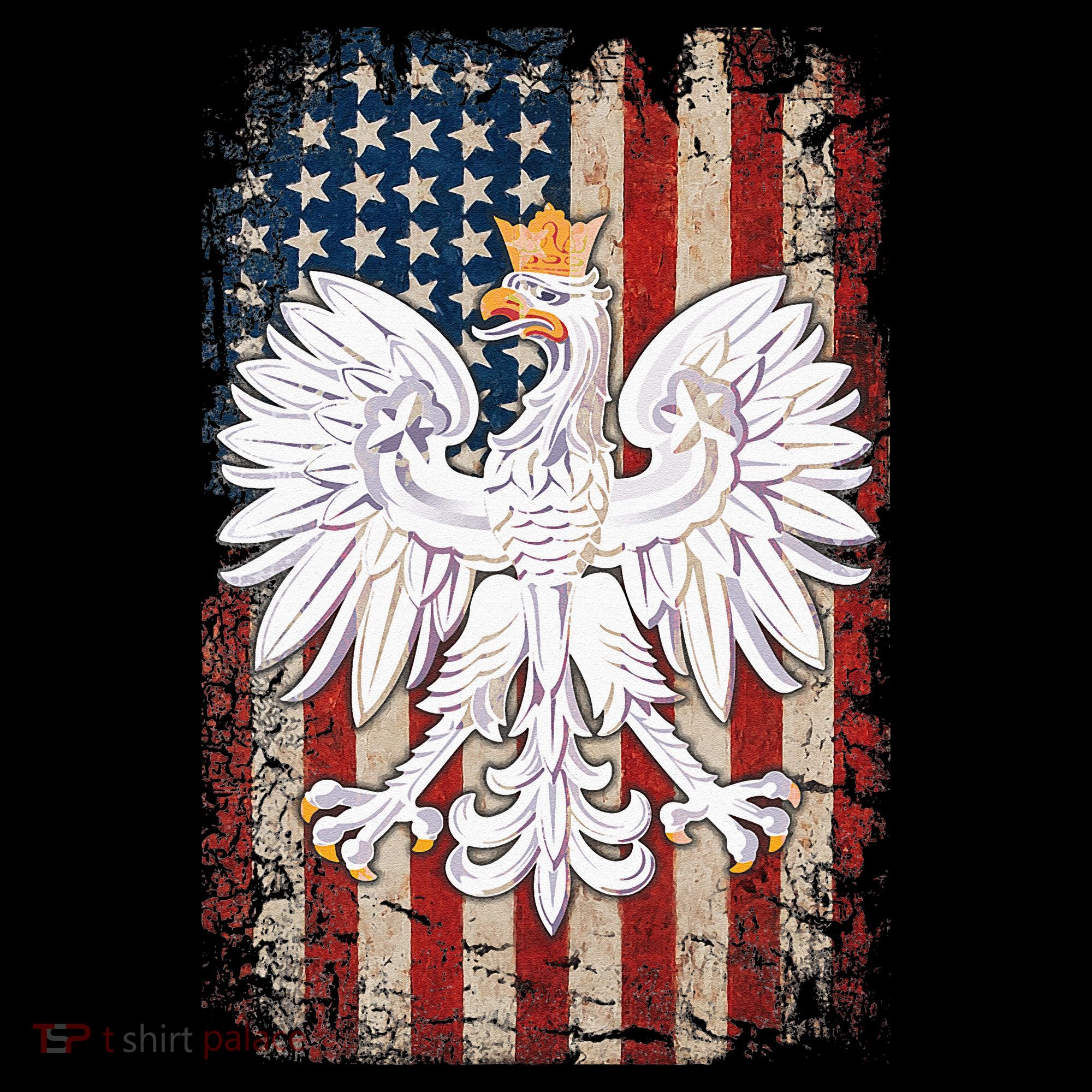 Polish Eagle American Flag Pride Poland Women's Hoodie