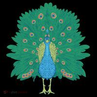 Peacock Bird Backpack thumb 2