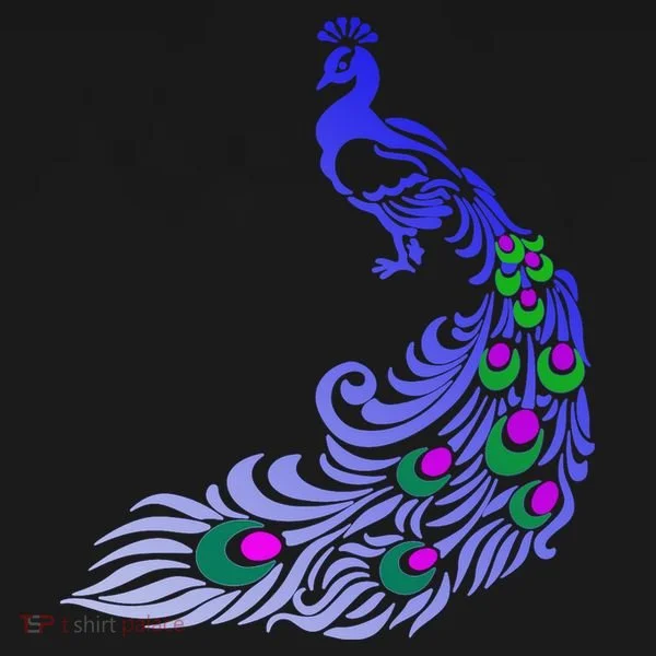 Peacock Colorful Illustration Bucket Hat