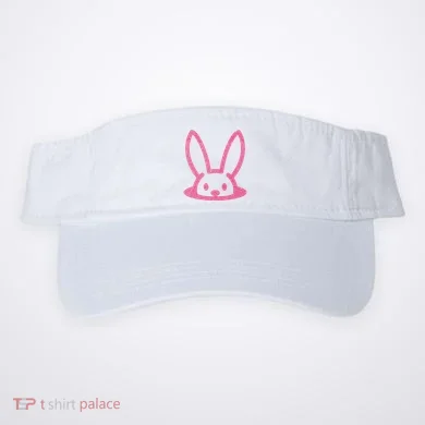 Visor