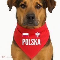 Poland Soccer Jersey Polish Polska  USA-Made Doggie Bandana thumb 1