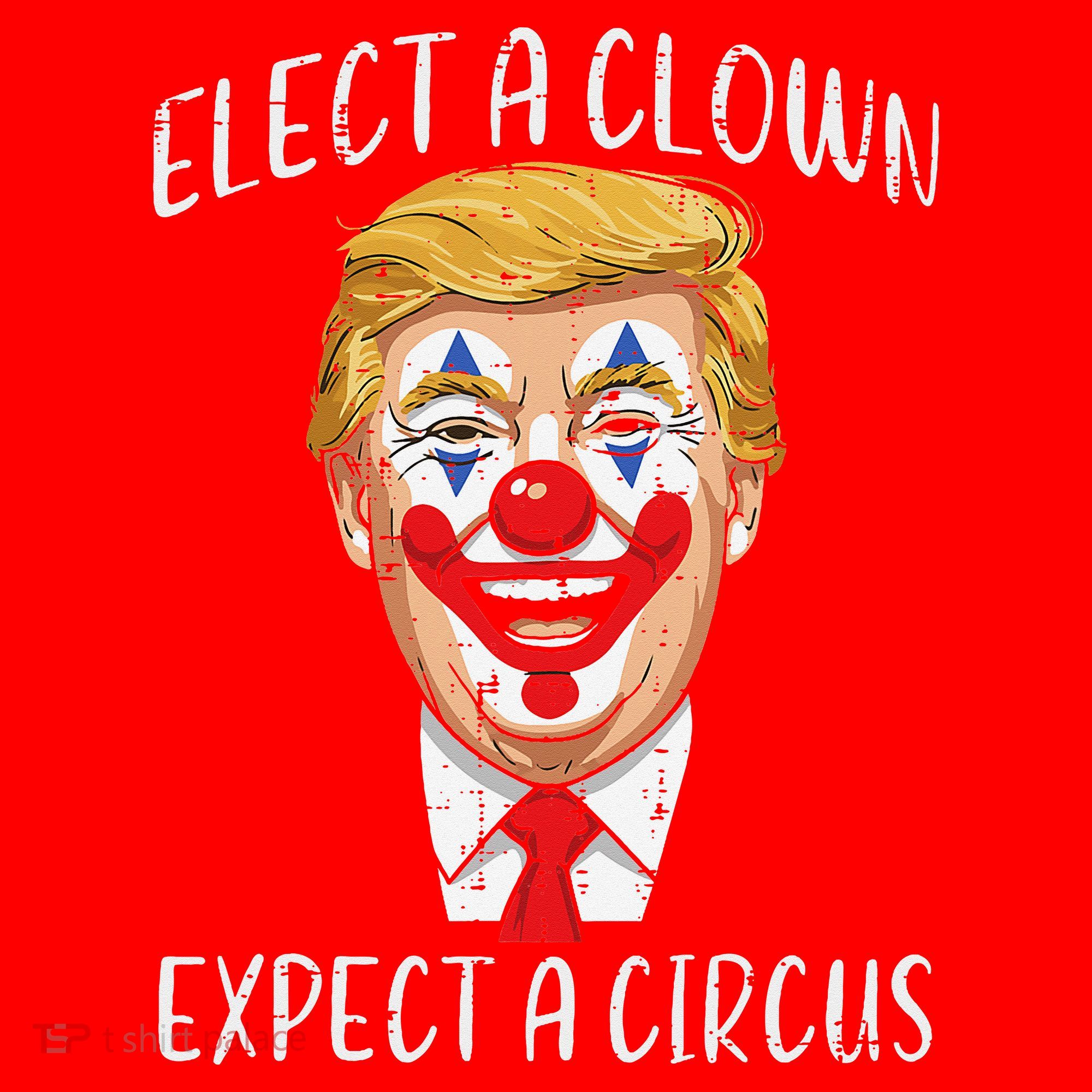 Protest Elect Clown Expect Circus Funny Resist Women Santa Hat