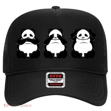Peek A Boo Panda Hat
