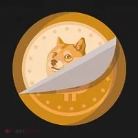 Peeled Off DogeCoin Bucket Hat thumb 4