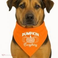 Pumpkin Everything Halloween Lover USA-Made Doggie Bandana thumb 1