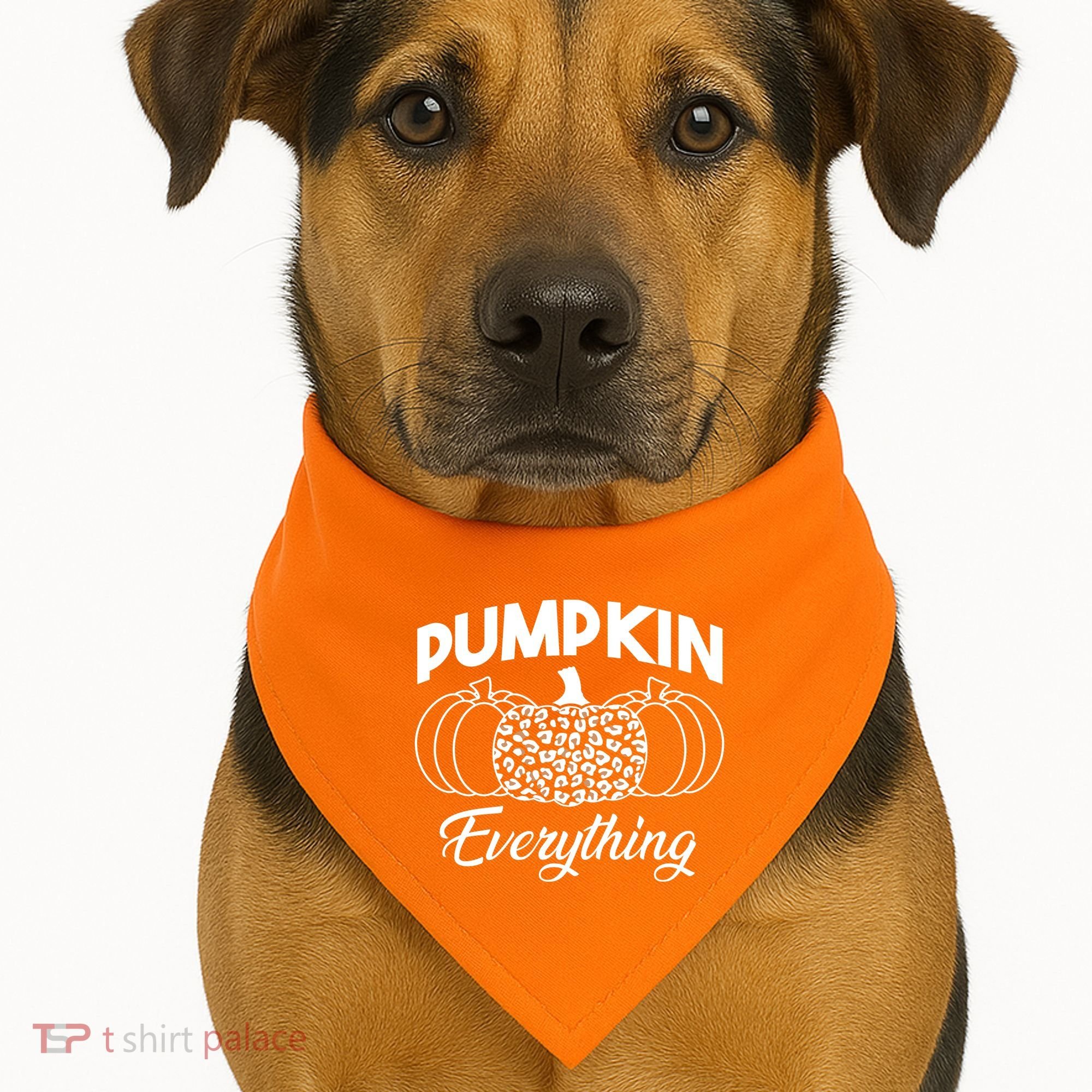 Pumpkin Everything Halloween Lover USA-Made Doggie Bandana