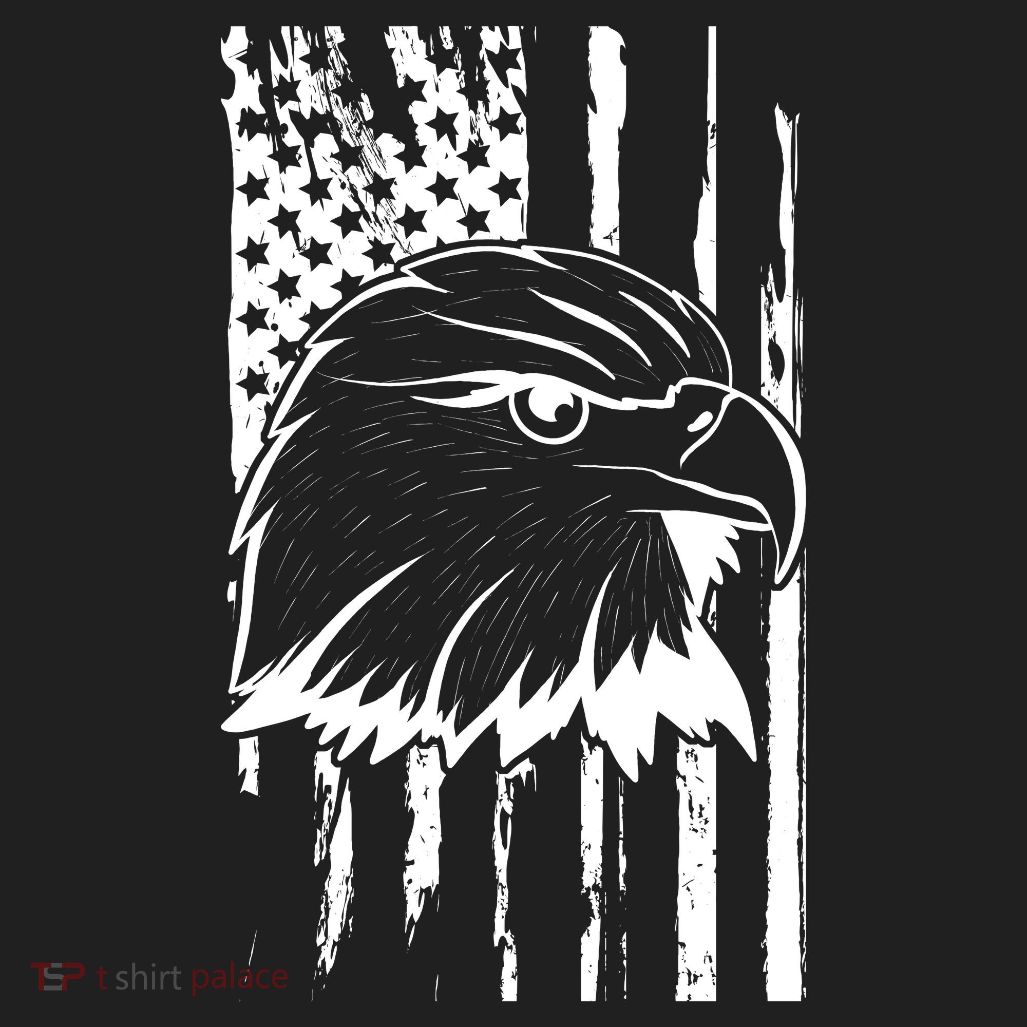 Patriotic Eagle Head American Flag Black Hat