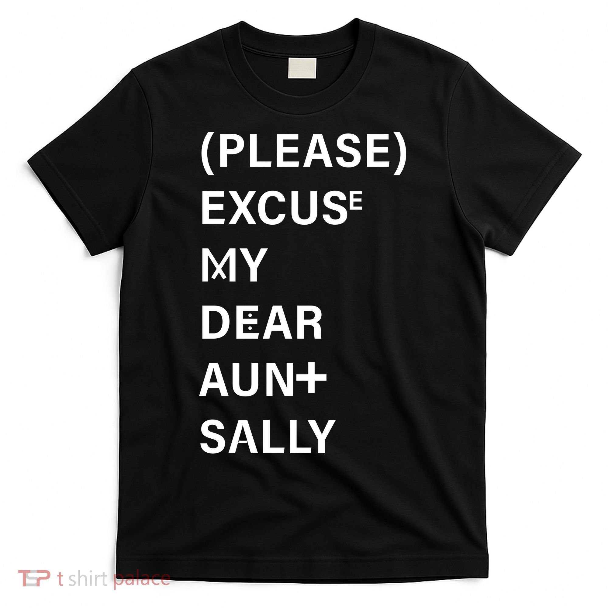 PEMDAS Please Excuse My Dear Aunt Sally T-Shirt