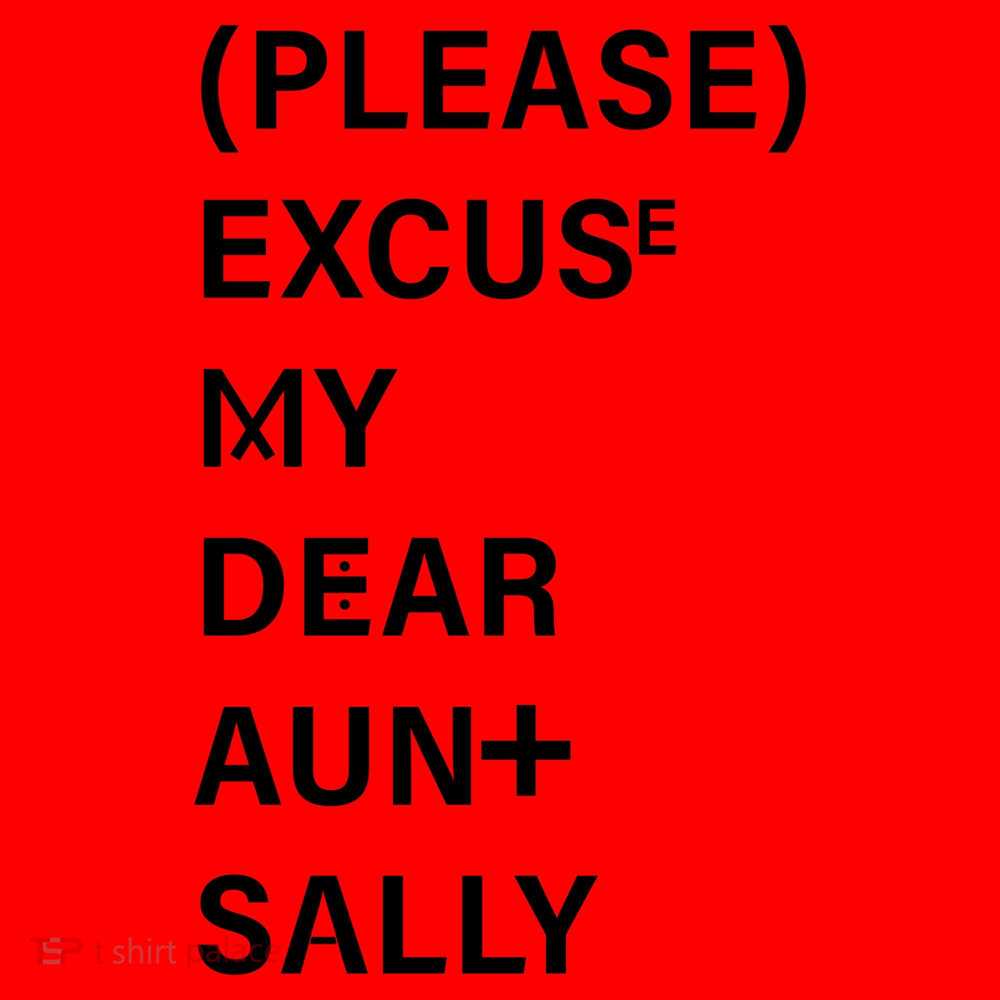 PEMDAS Please Excuse My Dear Aunt Sally Santa Hat