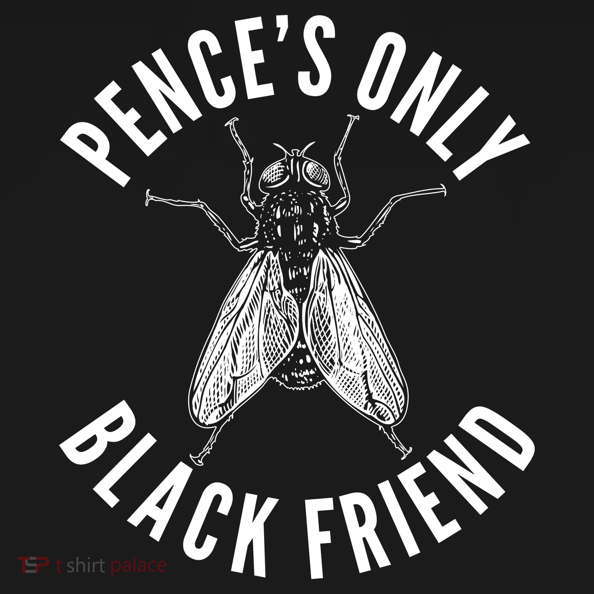 Pence's Only Black Friend Mike Pence Debate Fly Bucket Hat